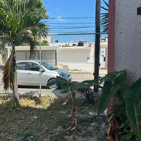 Calle Venado Centro Cancun Exterior photo